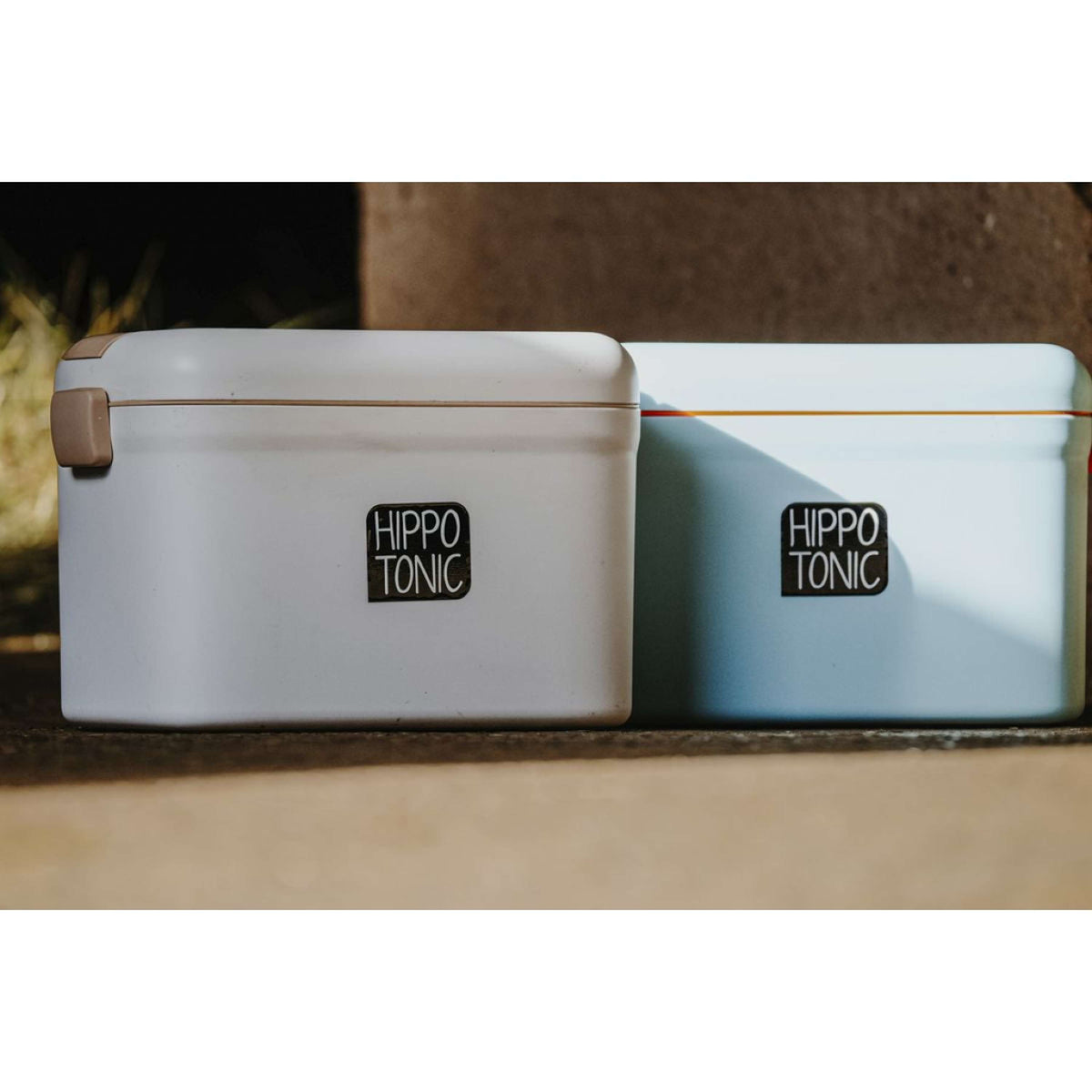 Hippotonic Scatola per Toelettatura Scooby Blu