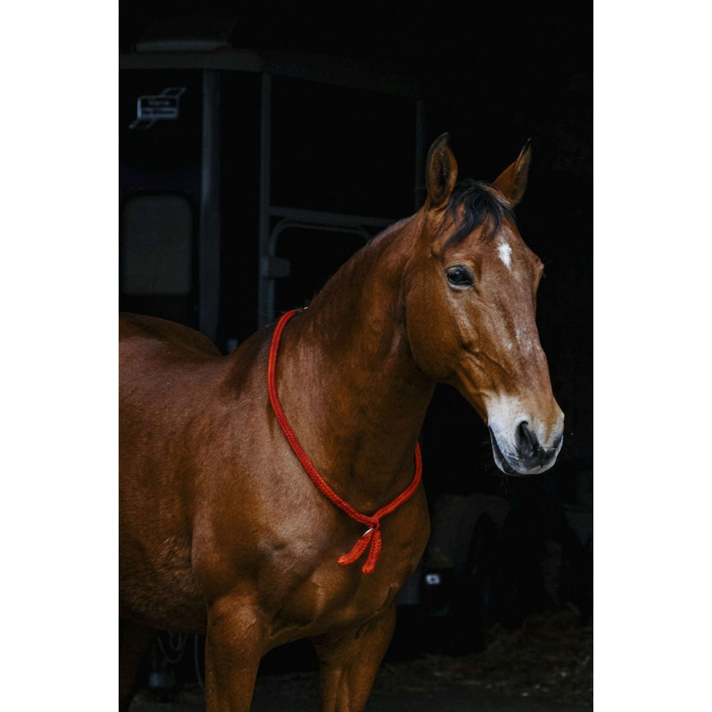 Norton Corda da collo Rosso