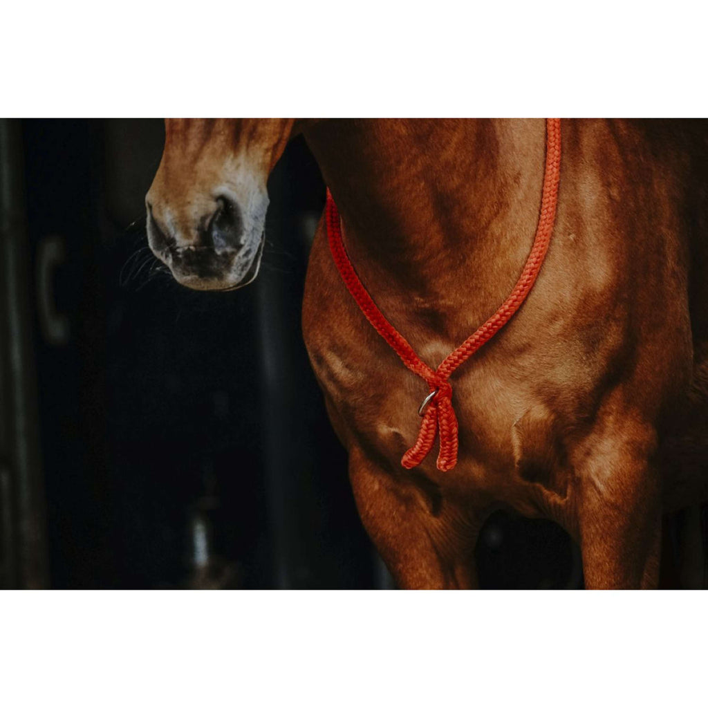 Norton Corda da collo Rosso