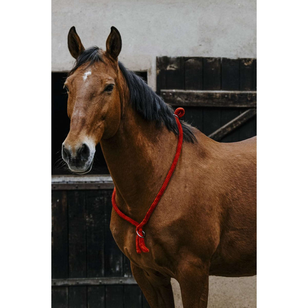 Norton Corda da collo Rosso