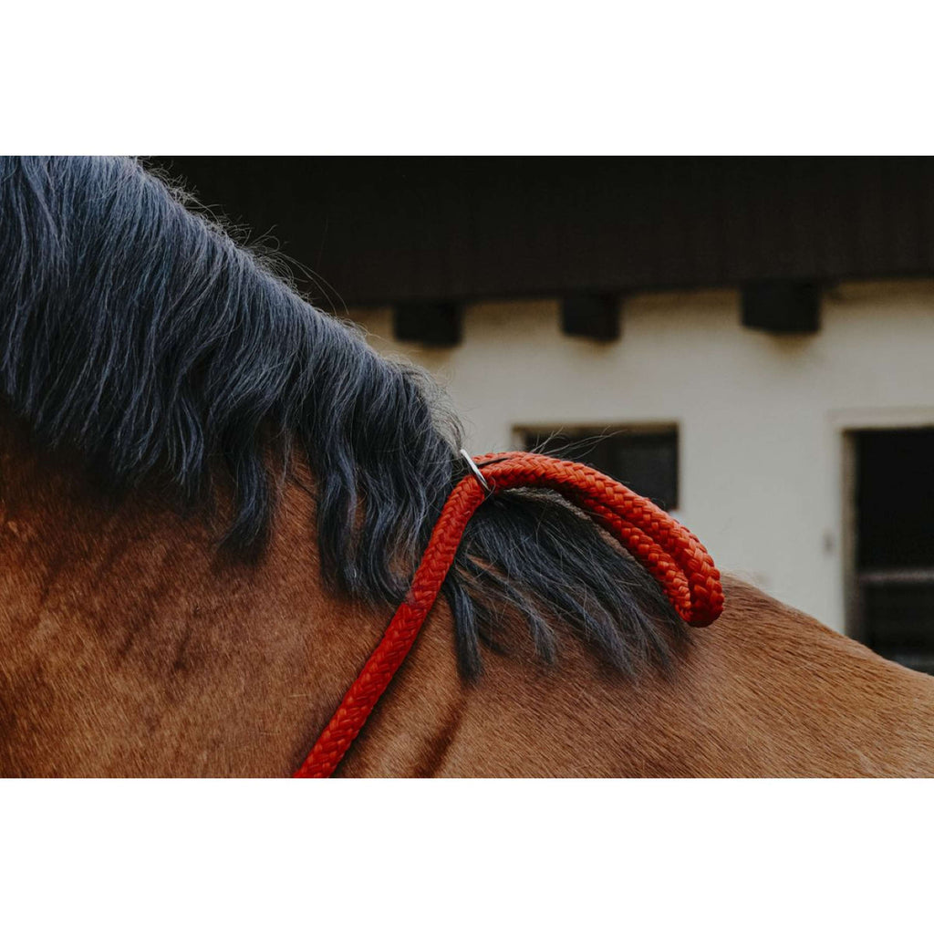 Norton Corda da collo Rosso