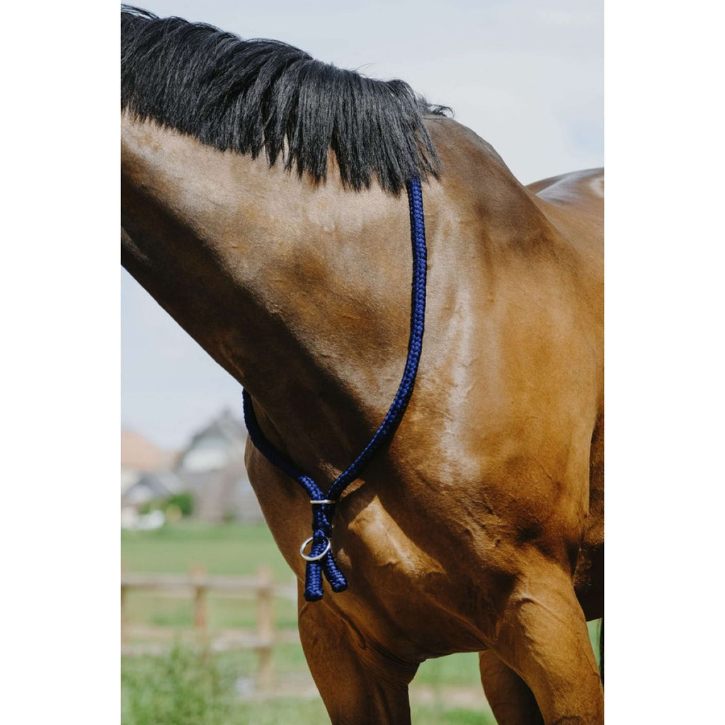 Norton Corda da collo Royal Blue