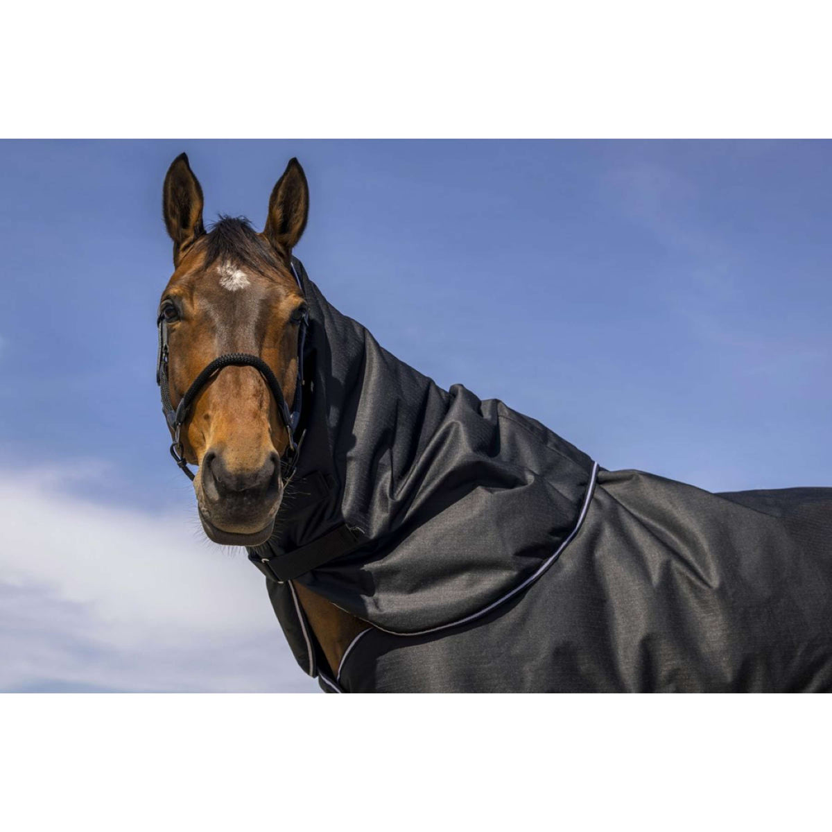 EQUITHÈME Copricollo 600D 0g Nero