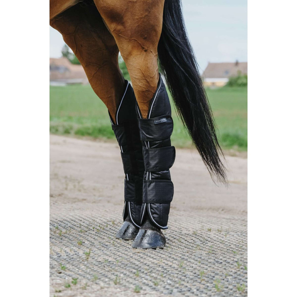 EQUITHÈME Protettori da trasporto 600D Nero