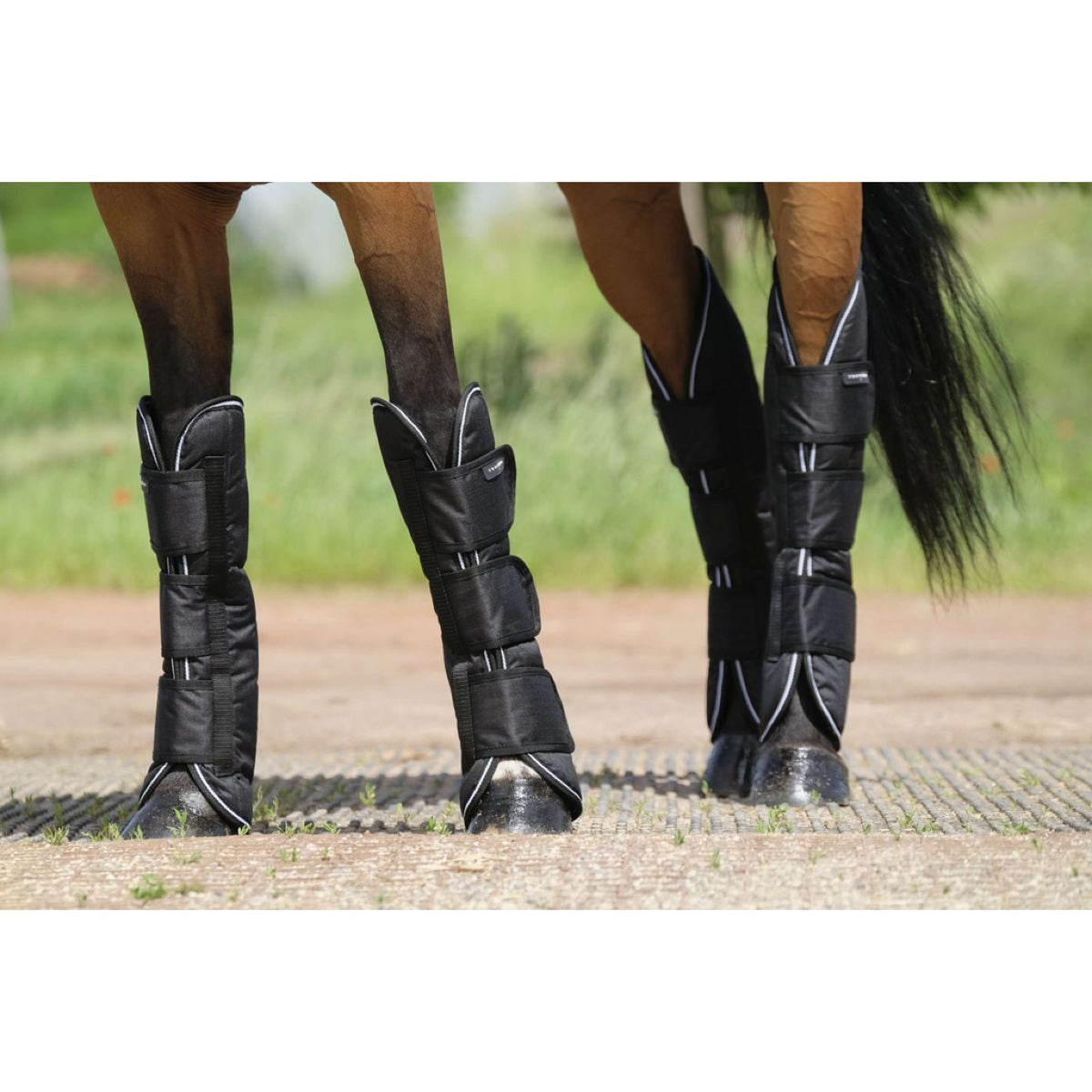 EQUITHÈME Protettori da trasporto 600D Nero