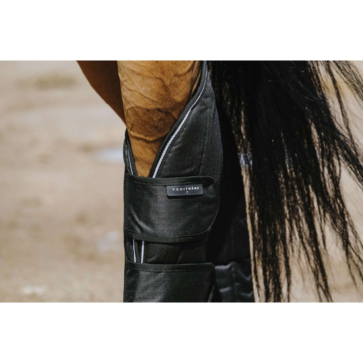 EQUITHÈME Protettori da trasporto 600D Nero