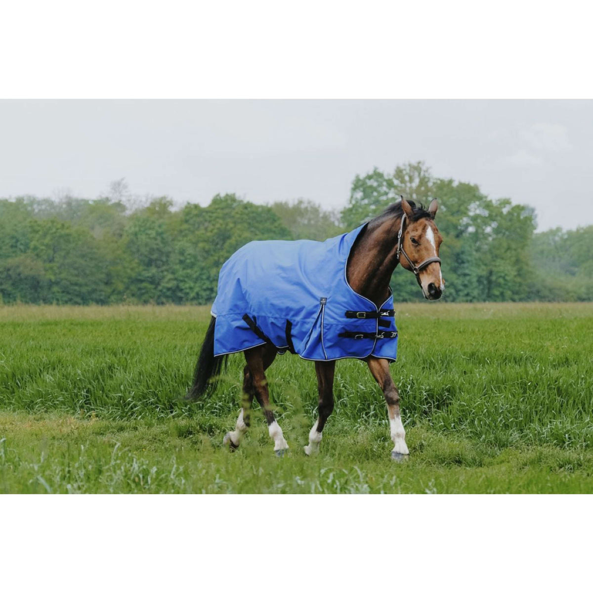 EQUITHÈME Tappeto da Esterno 1200D 150g Aisance High Neck Royal Blue