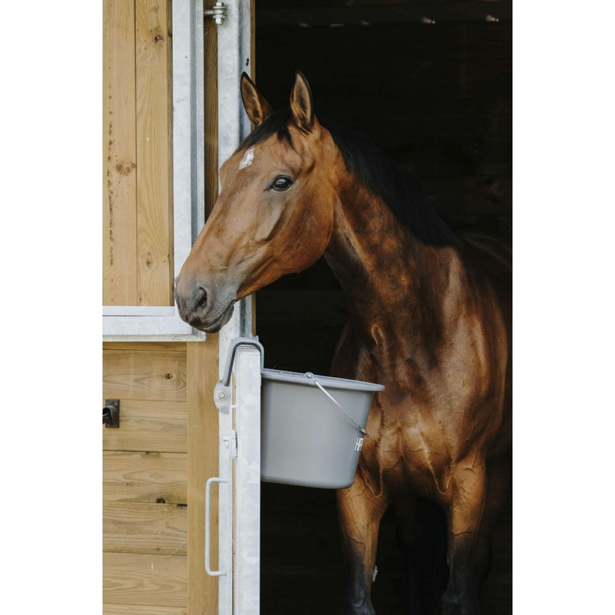 Hippotonic Ciotola per cibo Grigio scuro