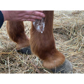 Animaderm Lozione Derfongen