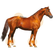Animaderm Lozione Derfongen