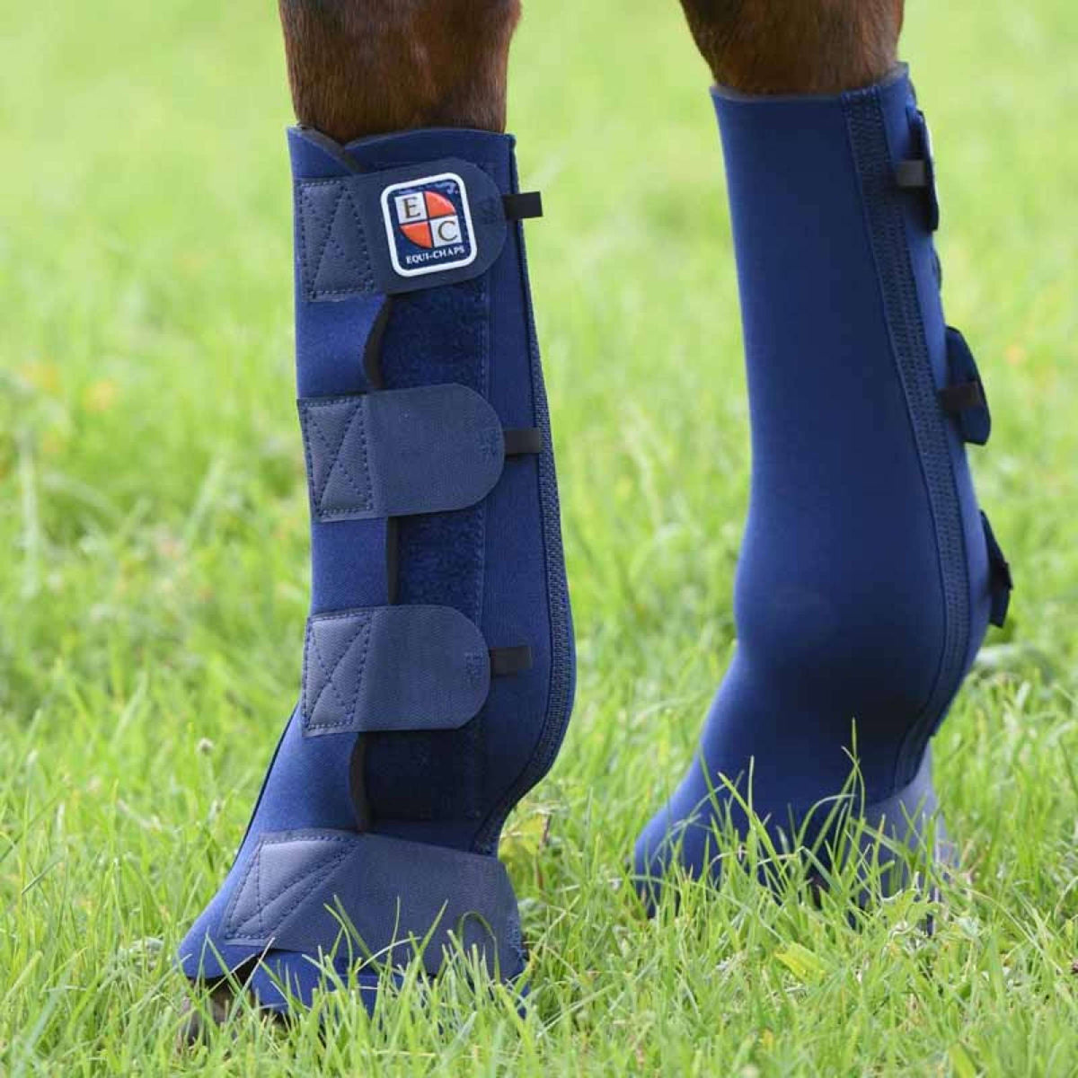 Equilibrium Parastinchi Equi-Chaps Hardy Navy