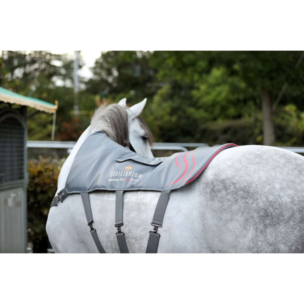 Equilibrium Cuscinetto massaggiante Heatsense Grigio