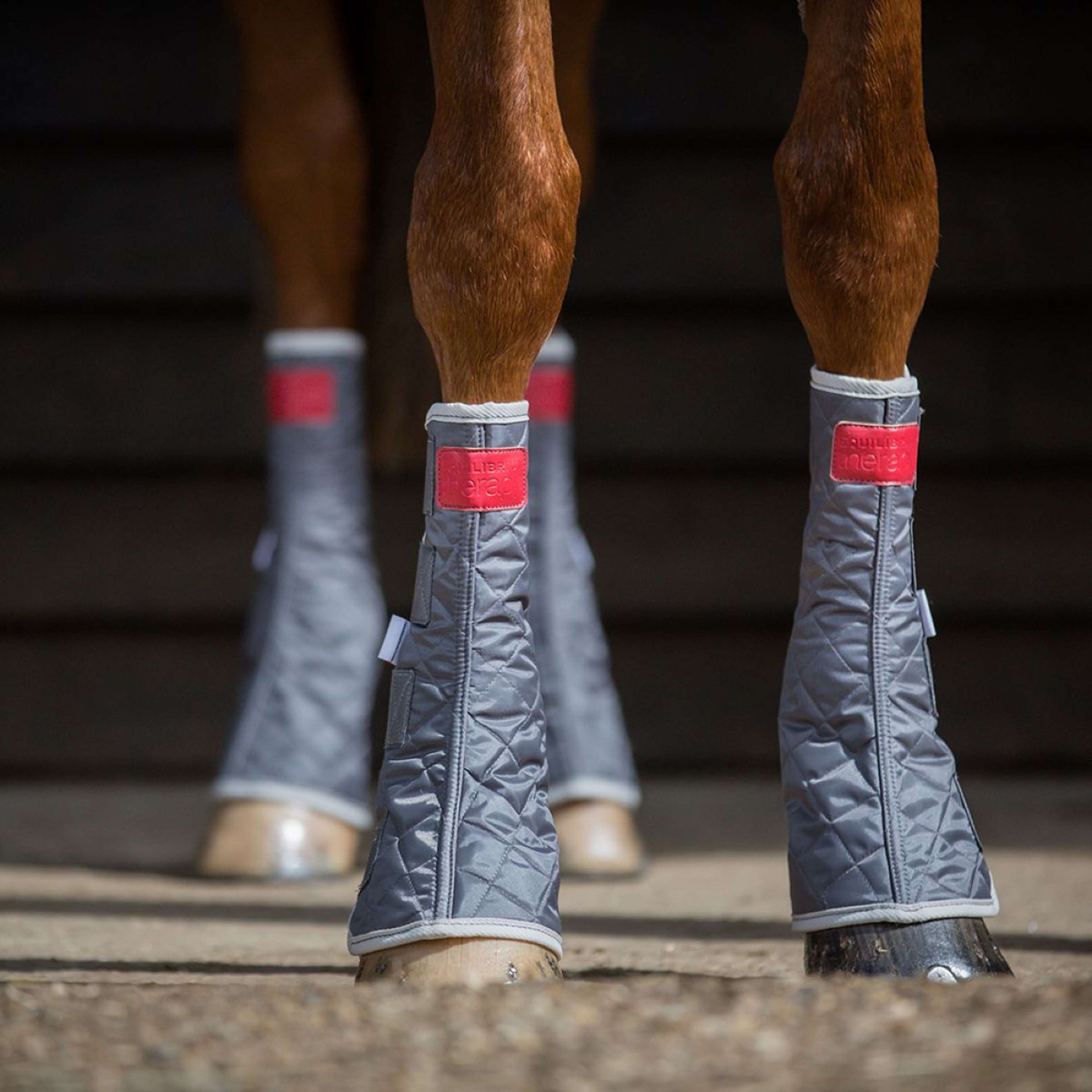 Equilibrium Parastinchi Grigio