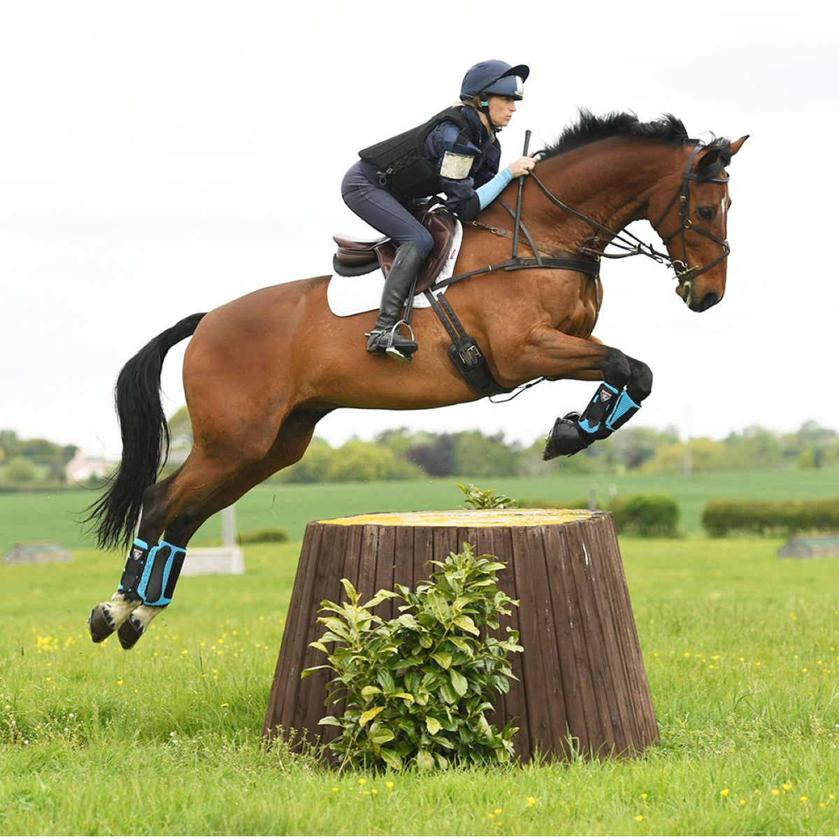 Equilibrium Parastinchi Blu azzurro