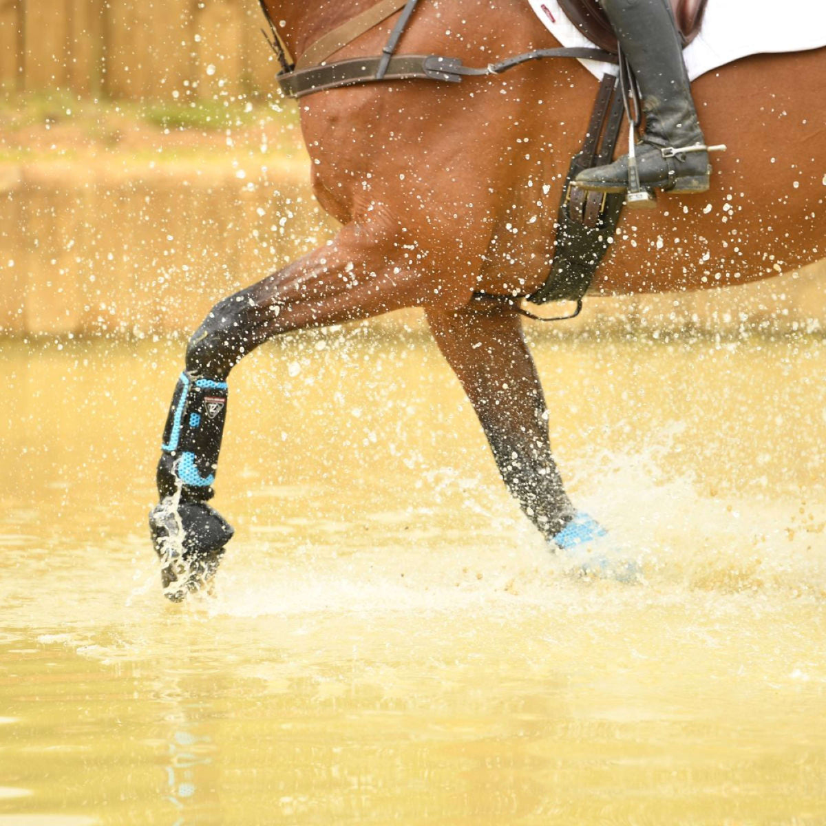 Equilibrium Parastinchi Blu azzurro