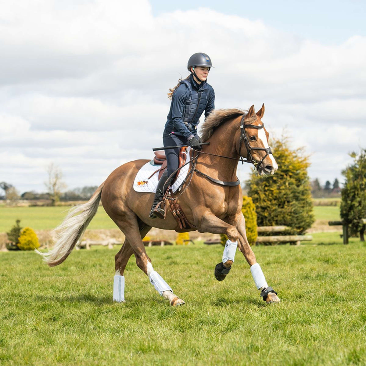 Equilibrium Parastinchi Bianco