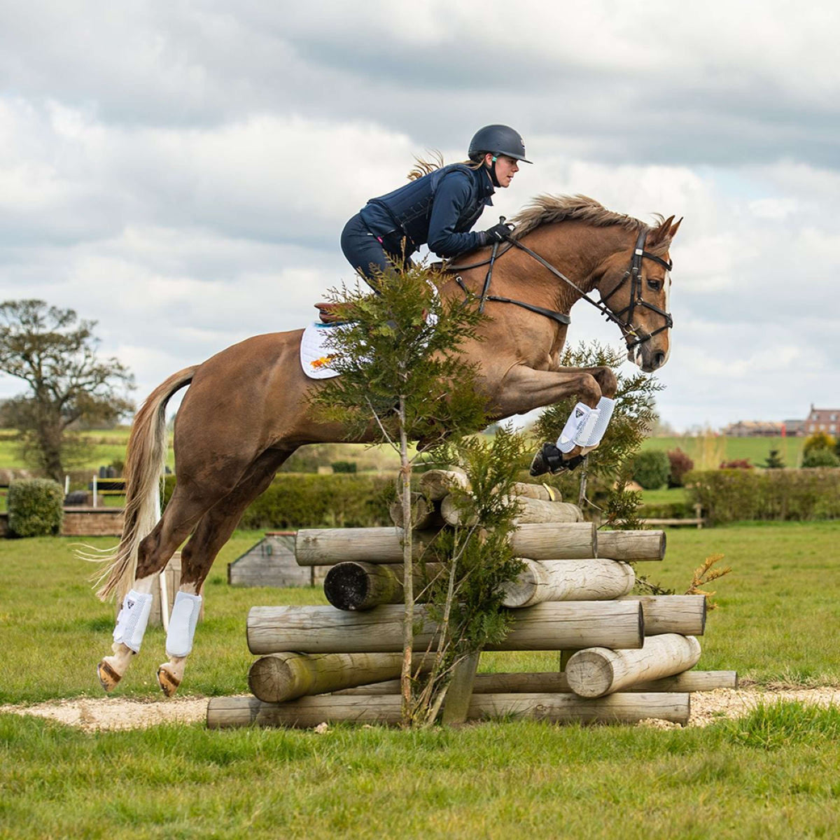 Equilibrium Parastinchi Bianco