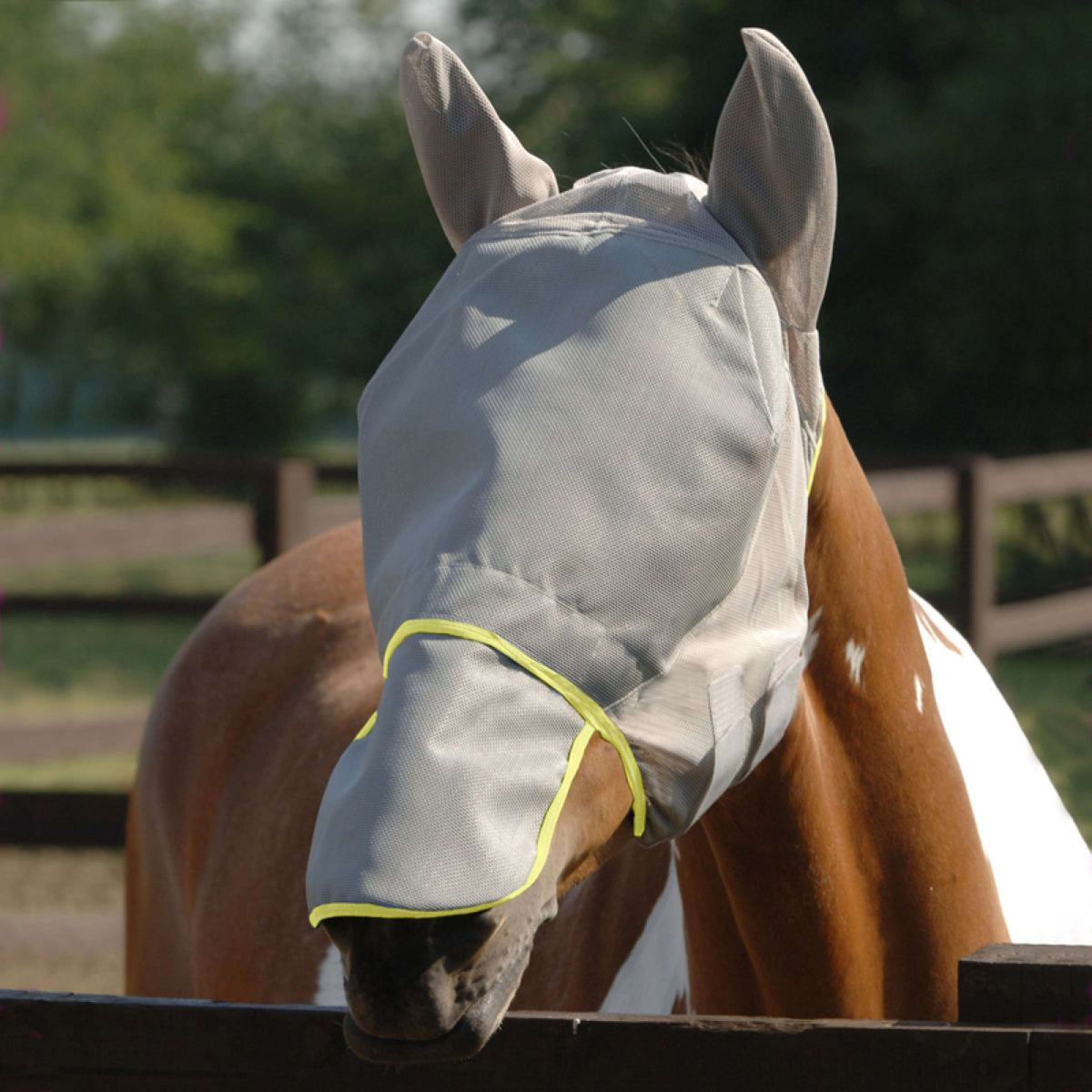 Equilibrium Maschera per Mosche Field Relief Max Grigio/Giallo