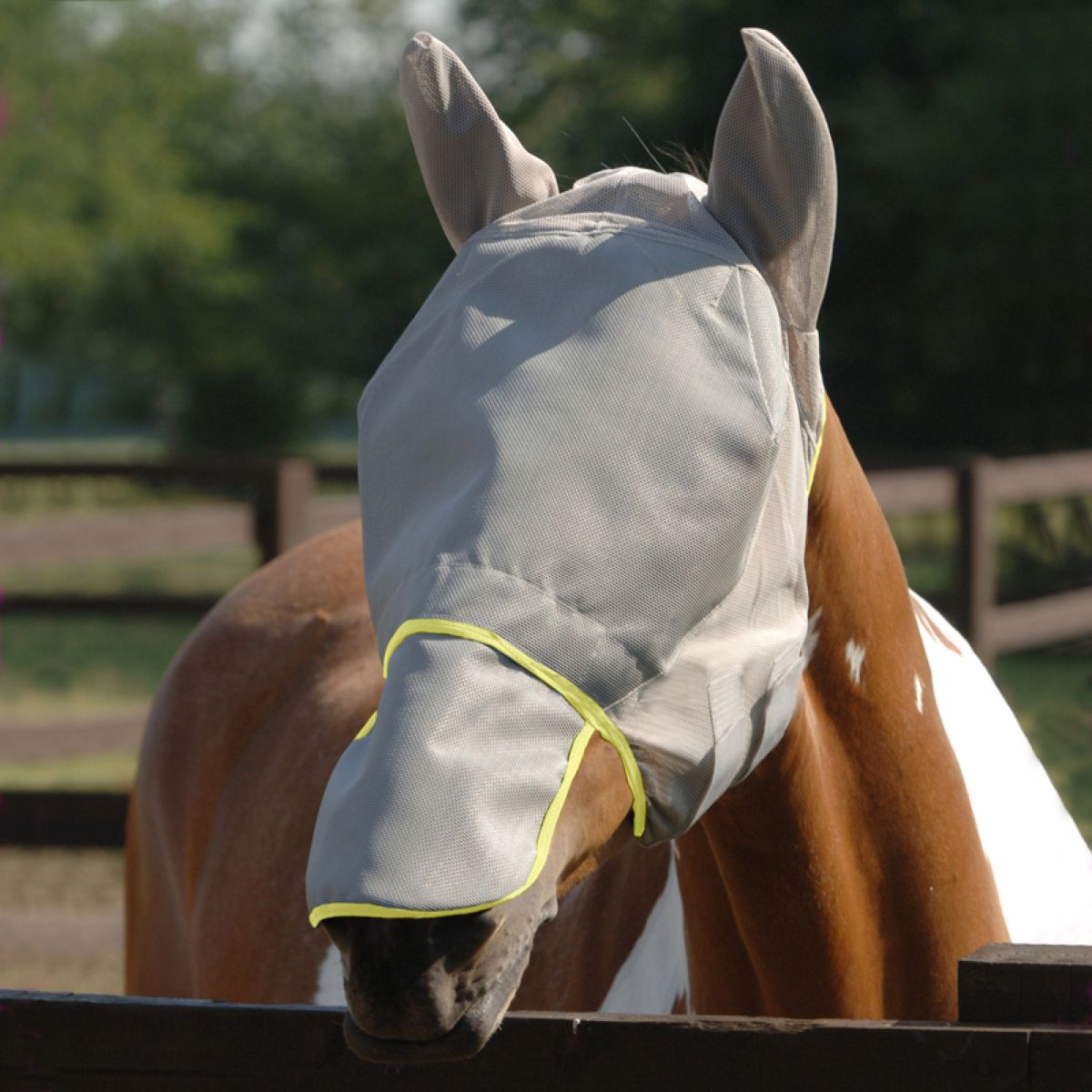 Equilibrium Maschera per Mosche Field Relief Max Grigio/Giallo