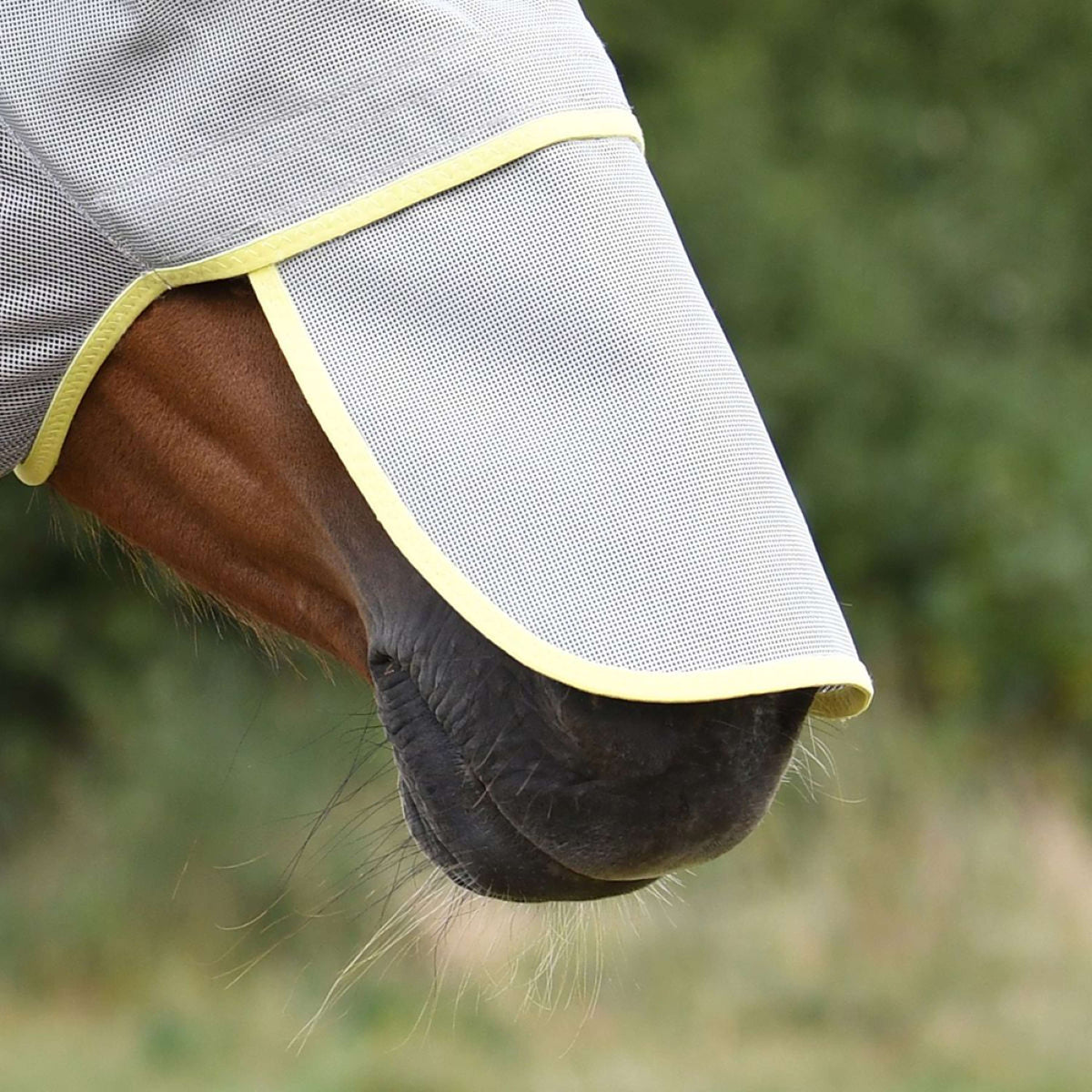 Equilibrium Rete nasale Field Relief Grigio/Giallo