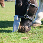 Equilibrium Rete nasale Field Relief Grigio