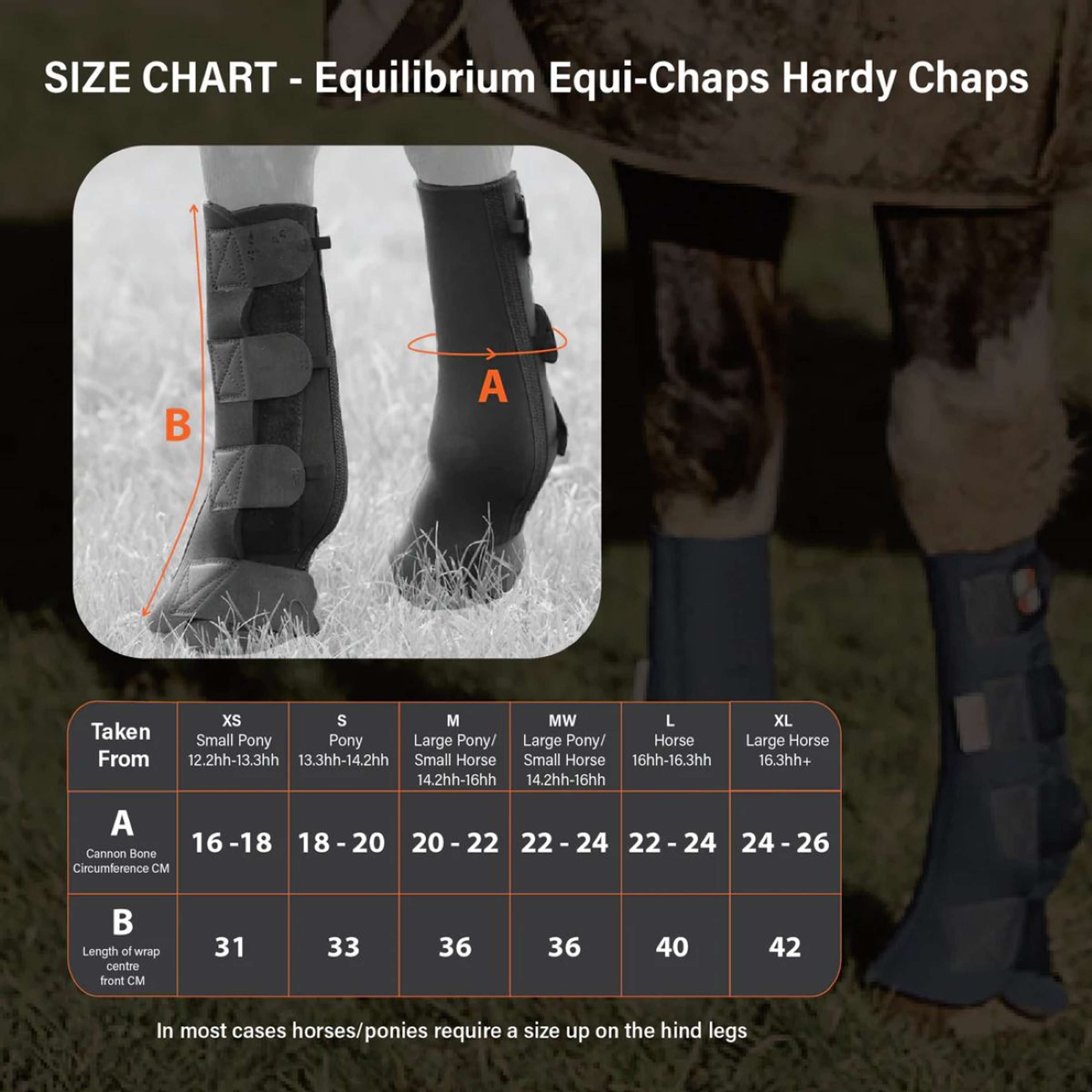 Equilibrium Parastinchi Equi-Chaps Hardy Navy