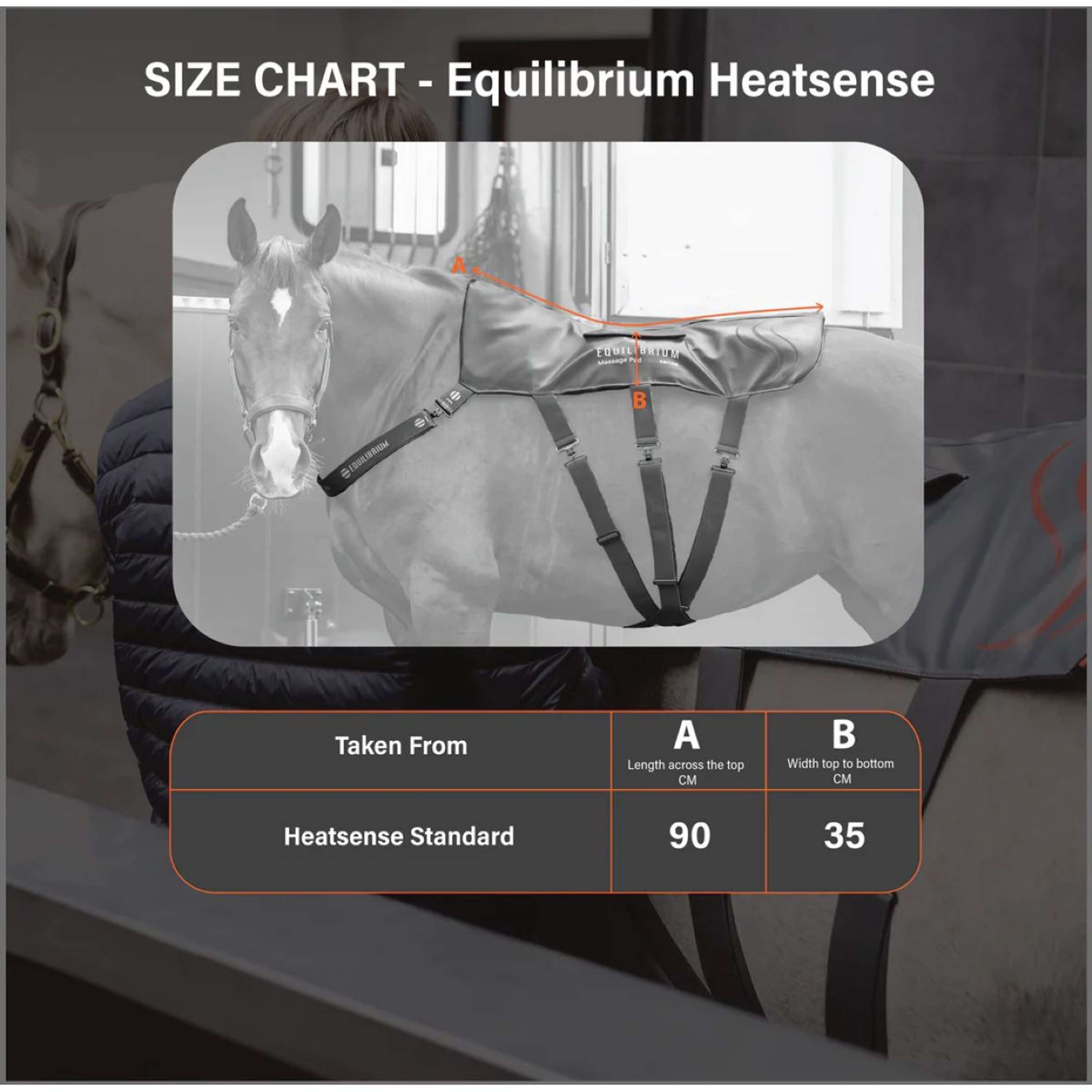Equilibrium Cuscinetto massaggiante Heatsense Grigio