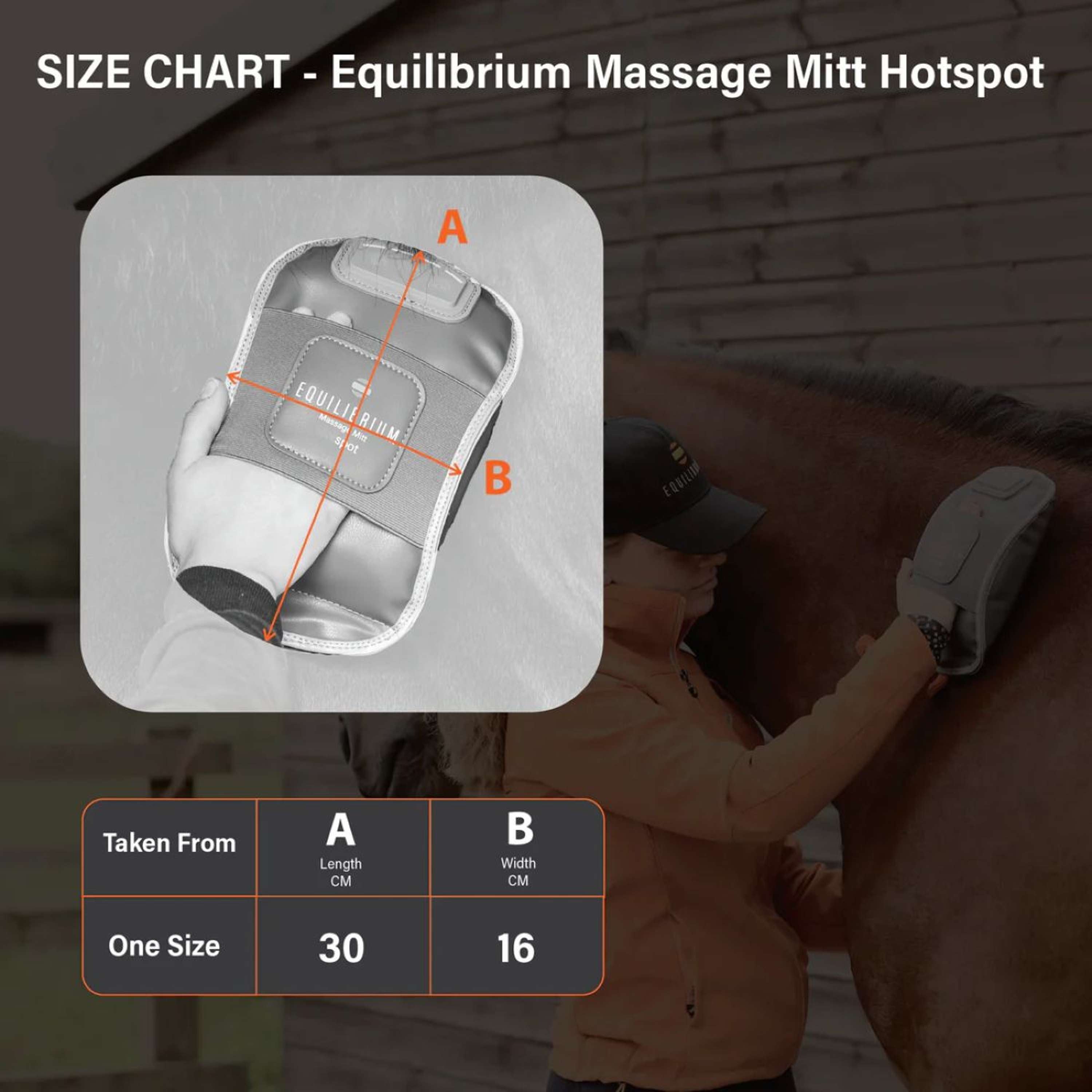 Equilibrium Guanto da massaggio Hotspot Grigio