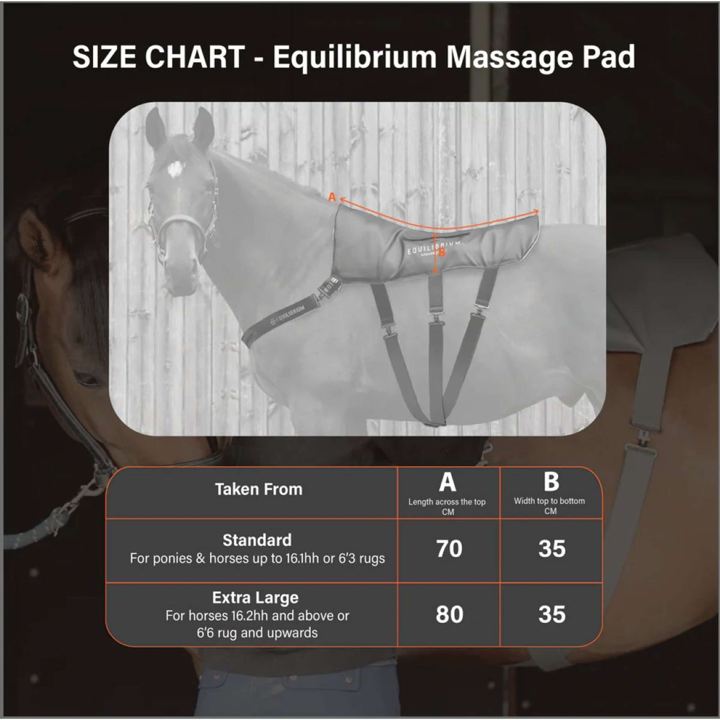 Equilibrium Cuscinetto massaggiante Grigio