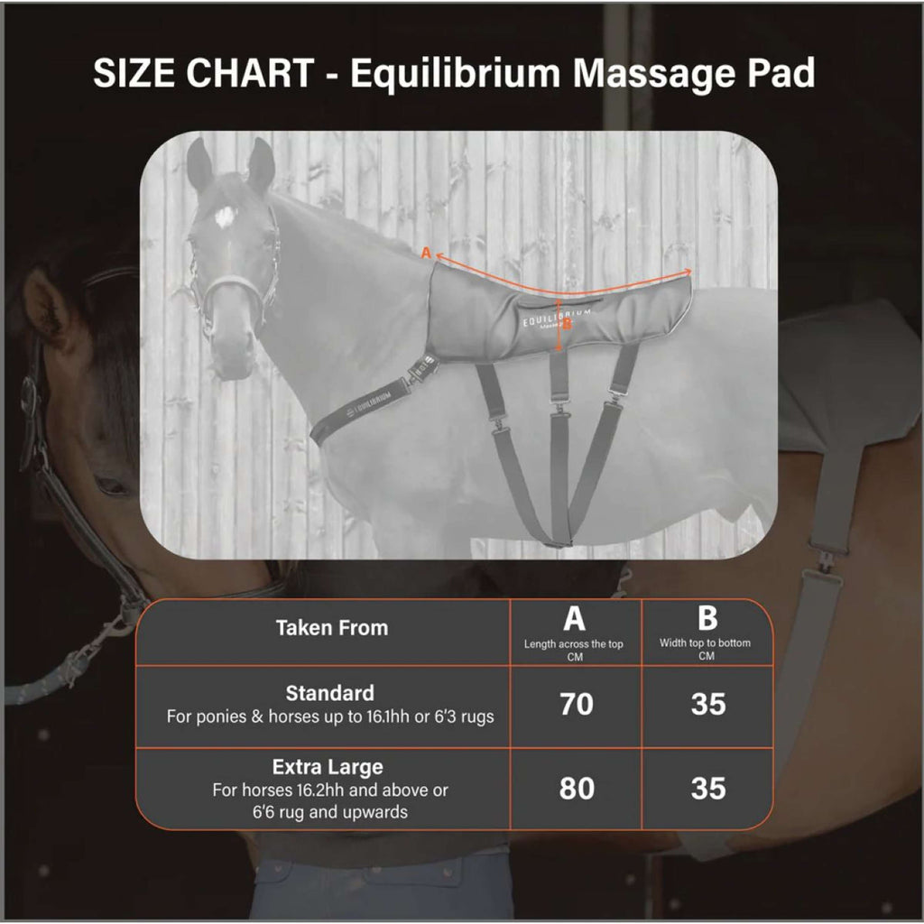 Equilibrium Cuscinetto massaggiante Grigio