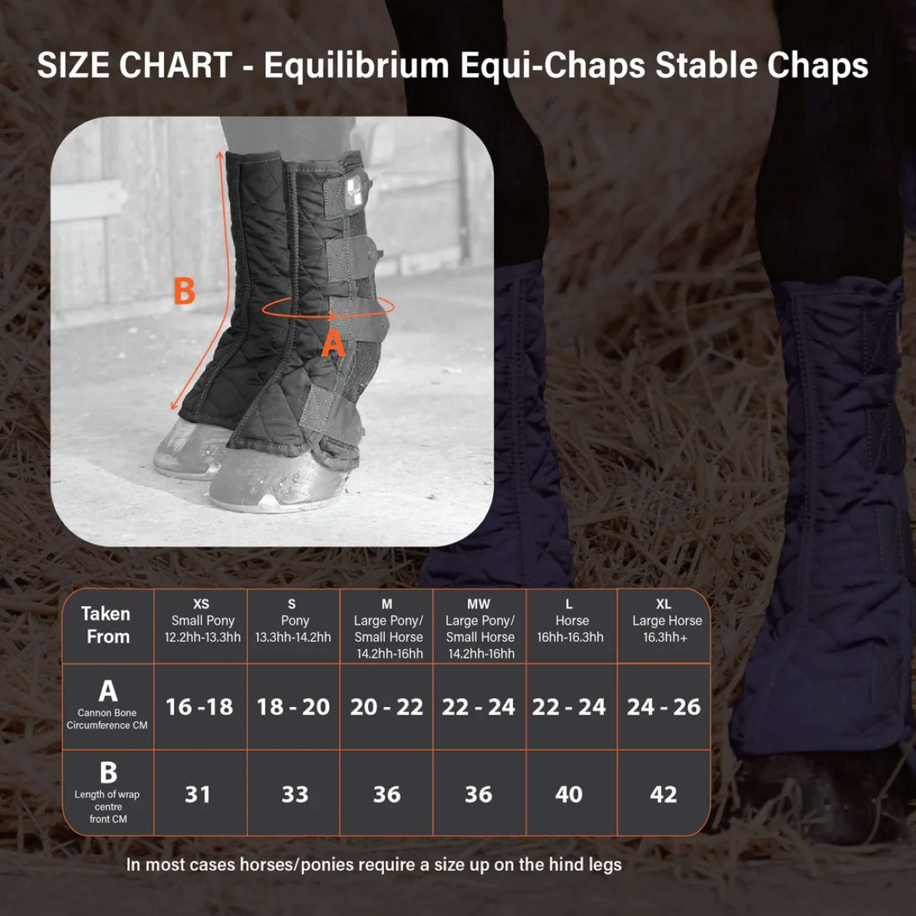 Equilibrium Parastinchi Equi-Chaps Stable Navy