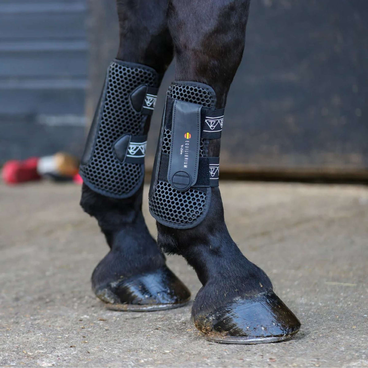 Equilibrium Stinchiere Nero