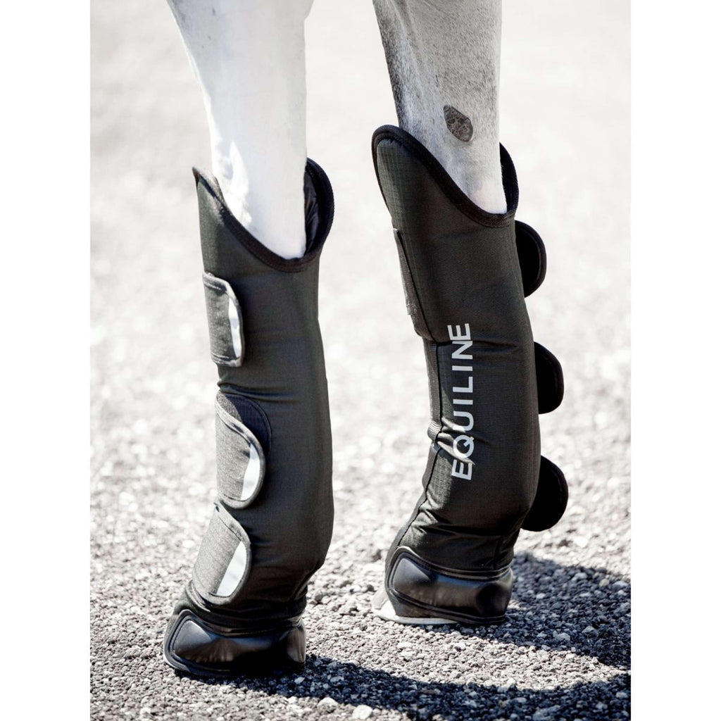 Equiline Protettori da trasporto Rex Nero