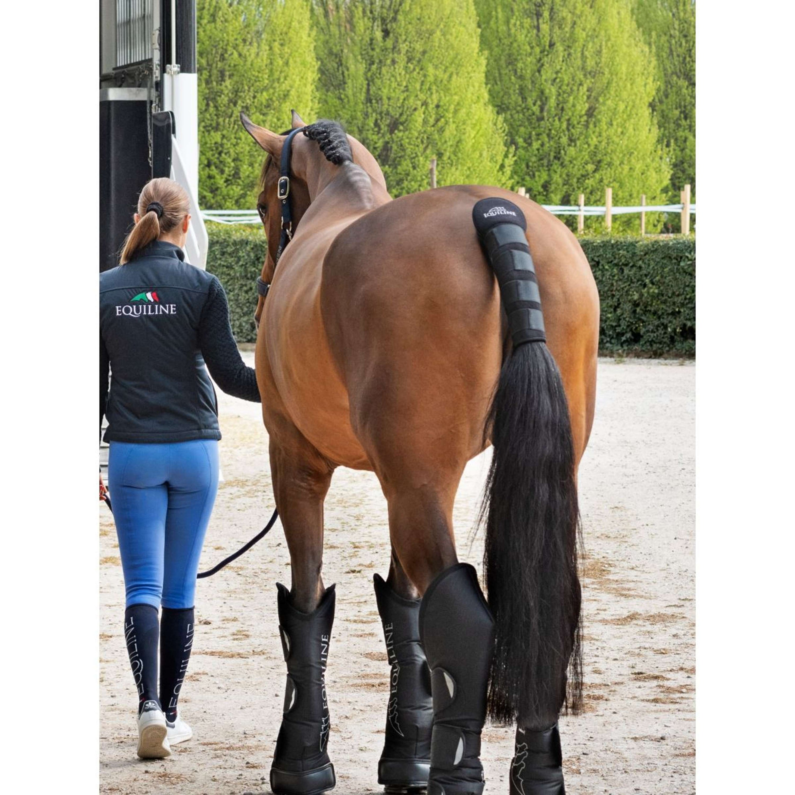 Equiline Protettore di Coda Noll Nero