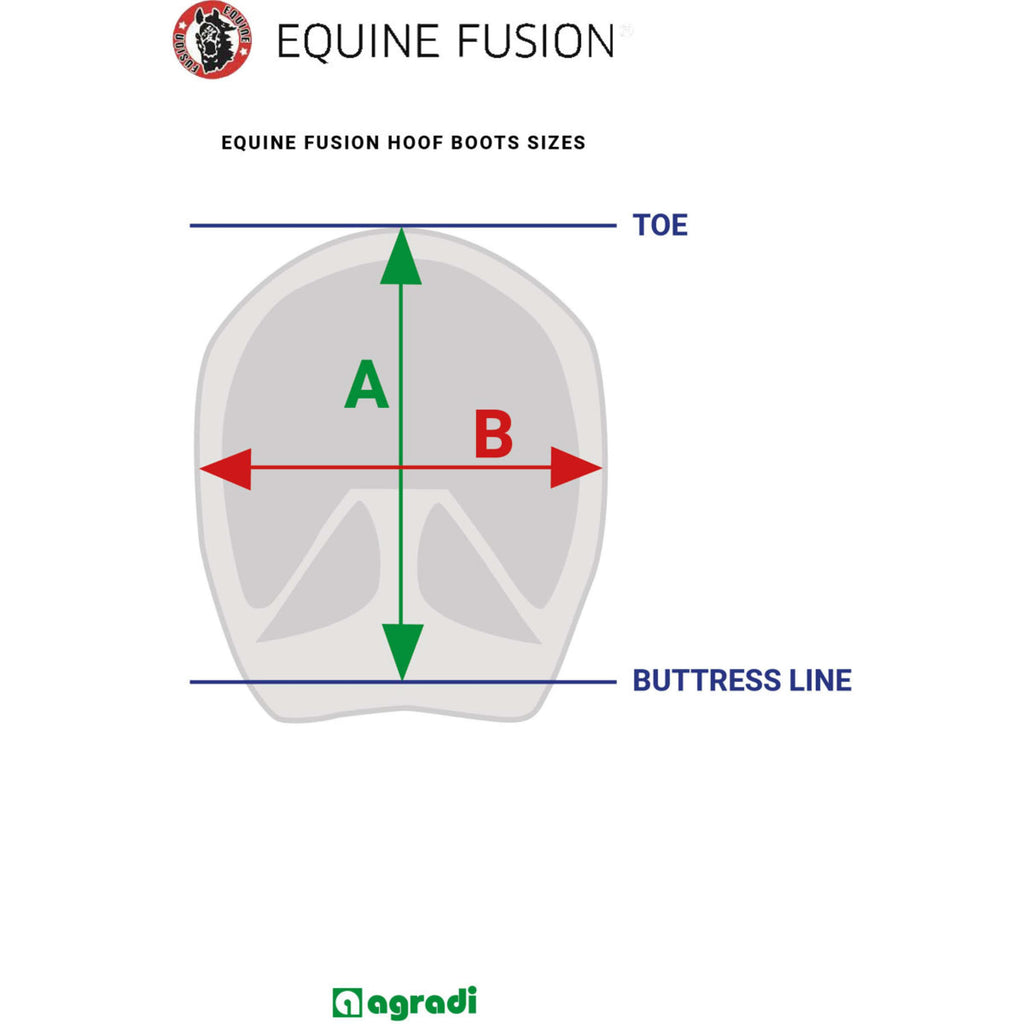 Equine Fusion Soletta interna 2.0