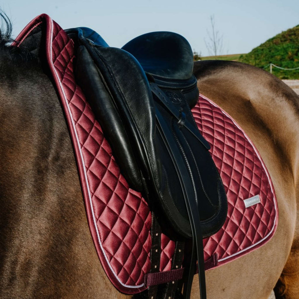 EQUITHÈME Sottosella Nacre Dressage Bordeaux