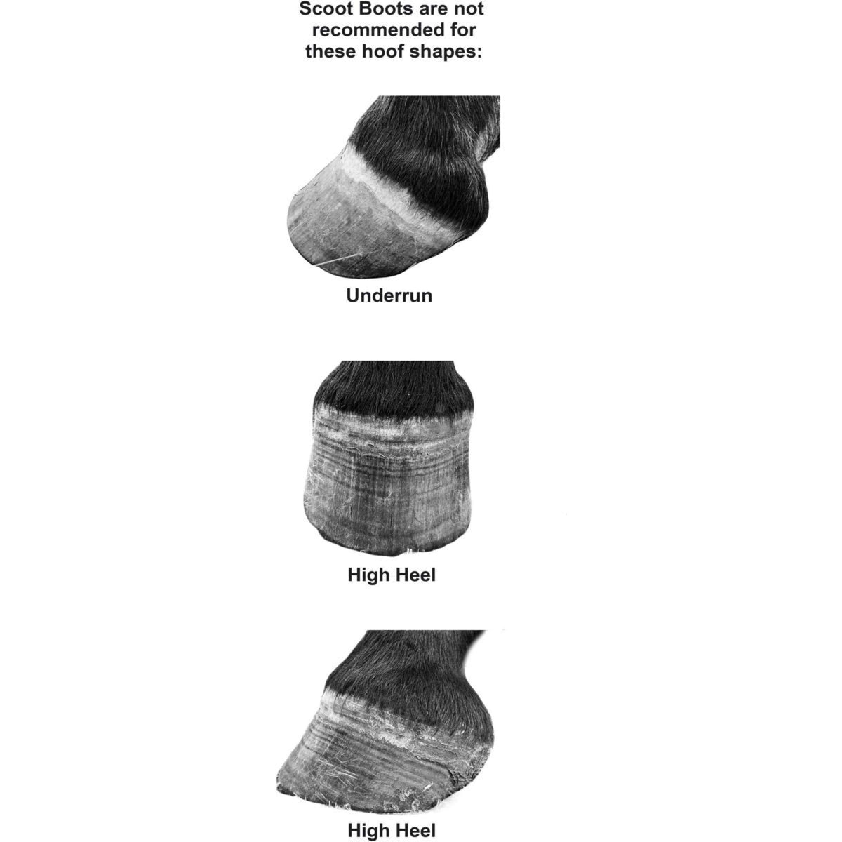 Scoot Boots Scarpette per zoccoli Regular Single Pony Nero