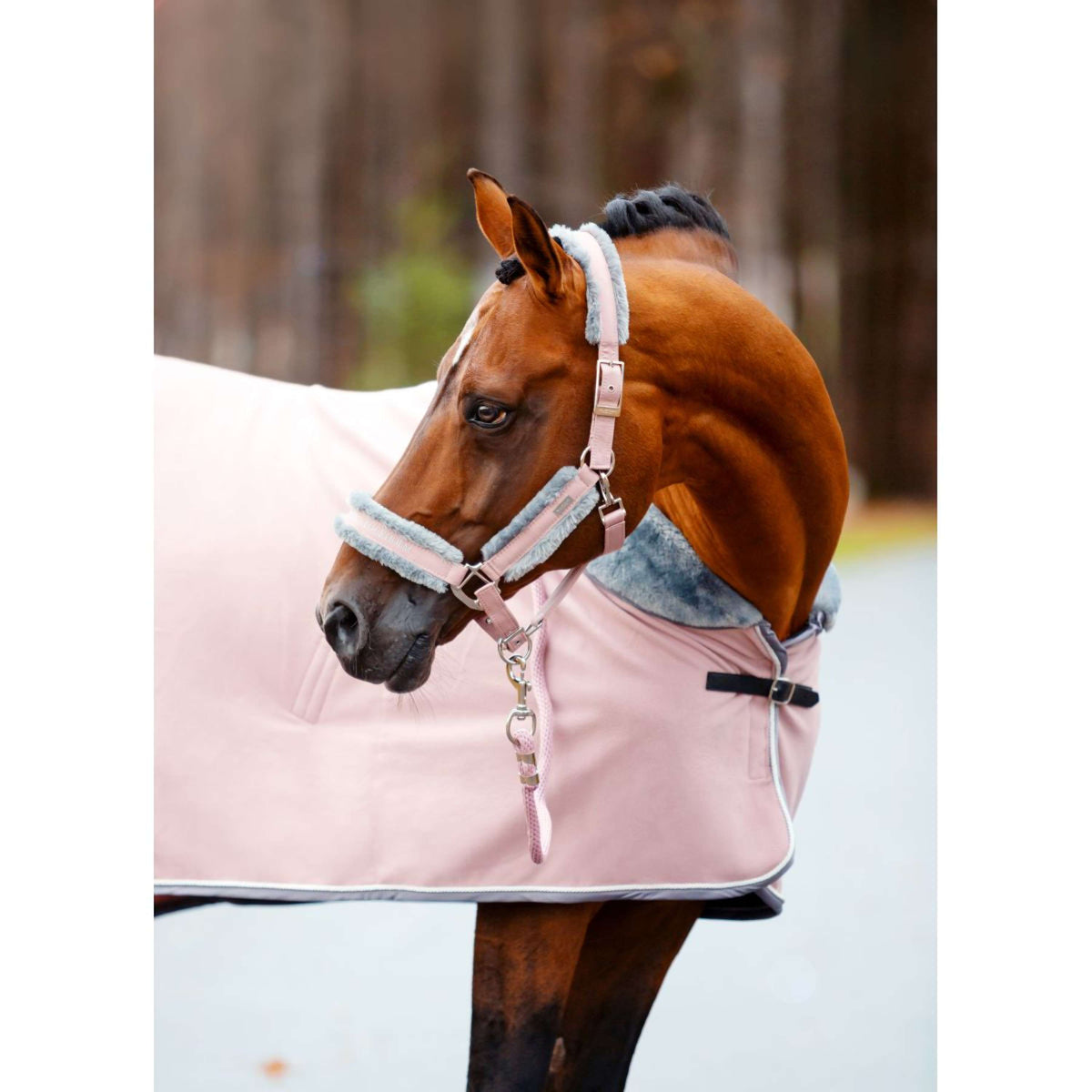 Equestrian Stockholm Coperta in Pile Fur Rosa