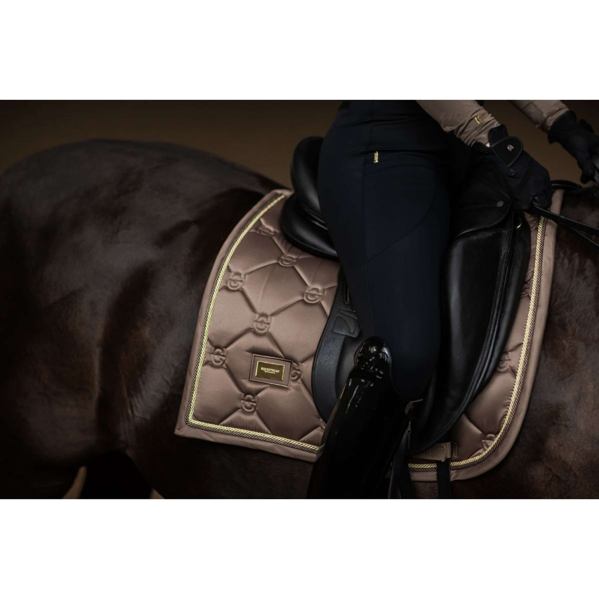 Equestrian Stockholm Sottosella Dressage Champagne
