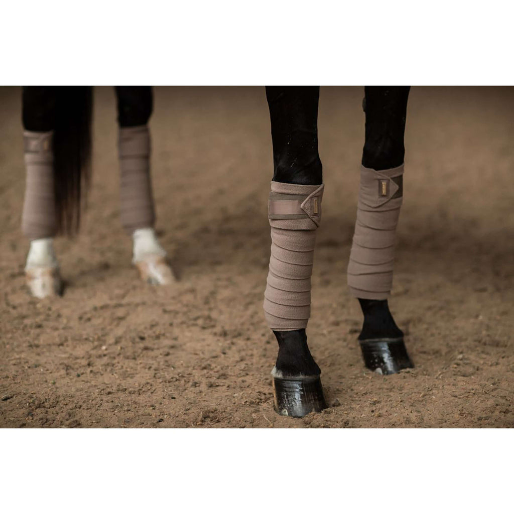 Equestrian Stockholm Bende Champagne