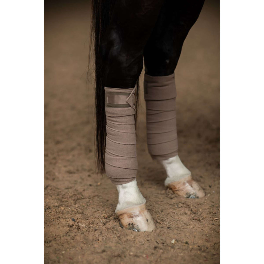 Equestrian Stockholm Bende Champagne