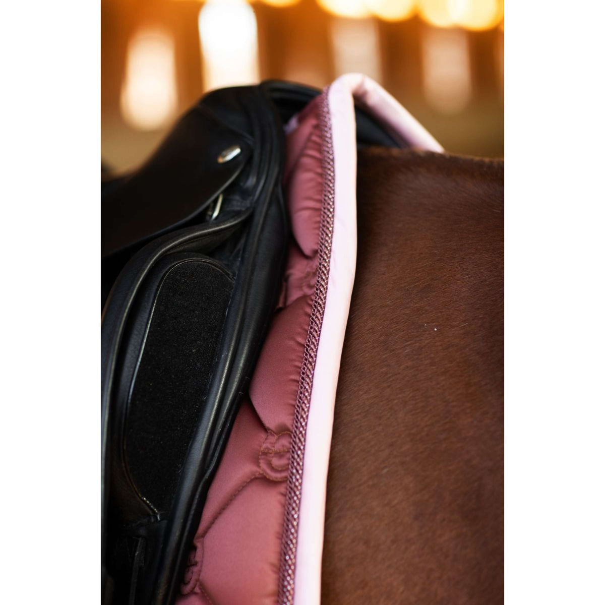 Equestrian Stockholm Sottosella Dressage Amber Rose
