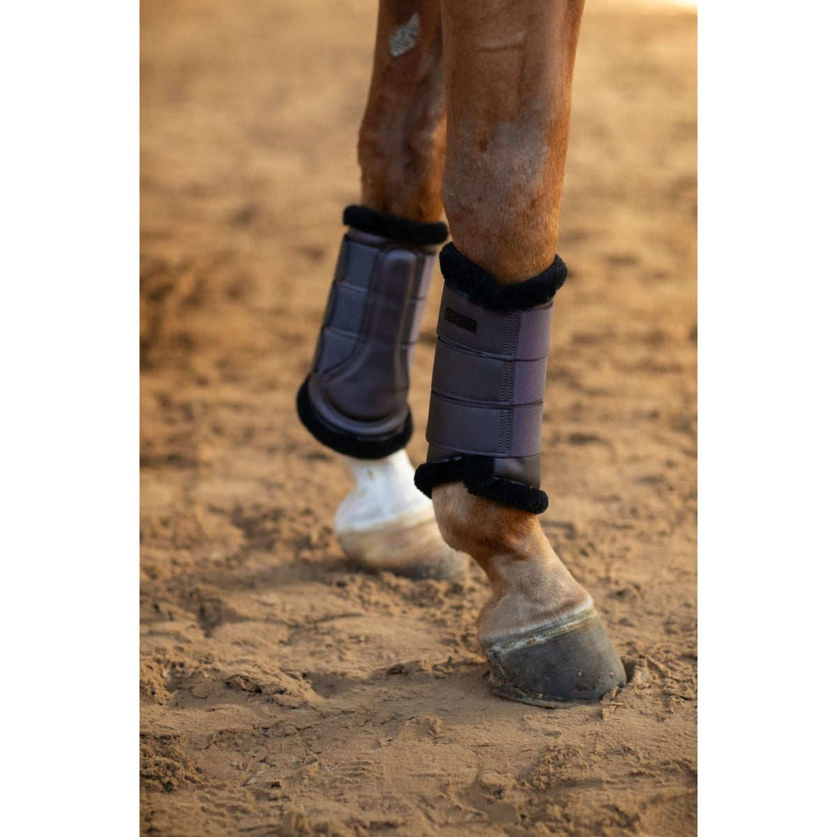 Equestrian Stockholm Parastinchi Dark Violet