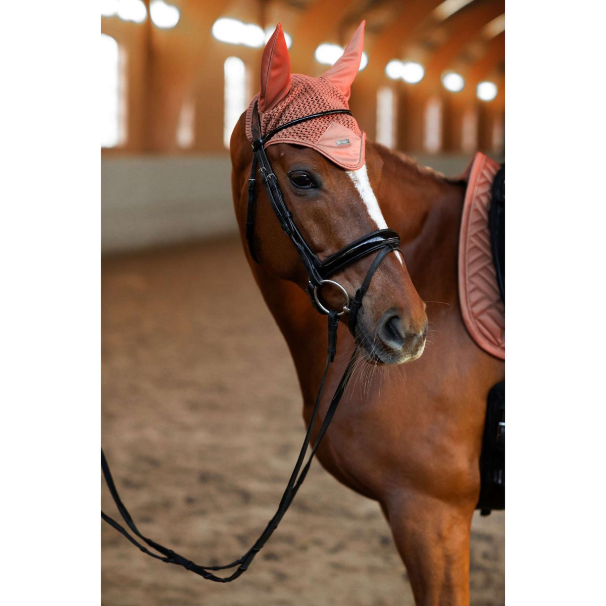 Equestrian Stockholm Cuffietta Modern Coral