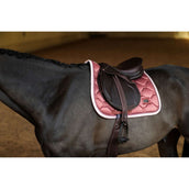 Equestrian Stockholm Sottosella saltando Amber Rose
