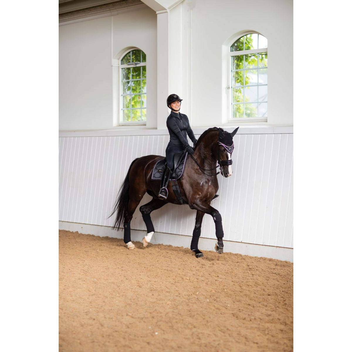Equestrian Stockholm Bende Edizione nera