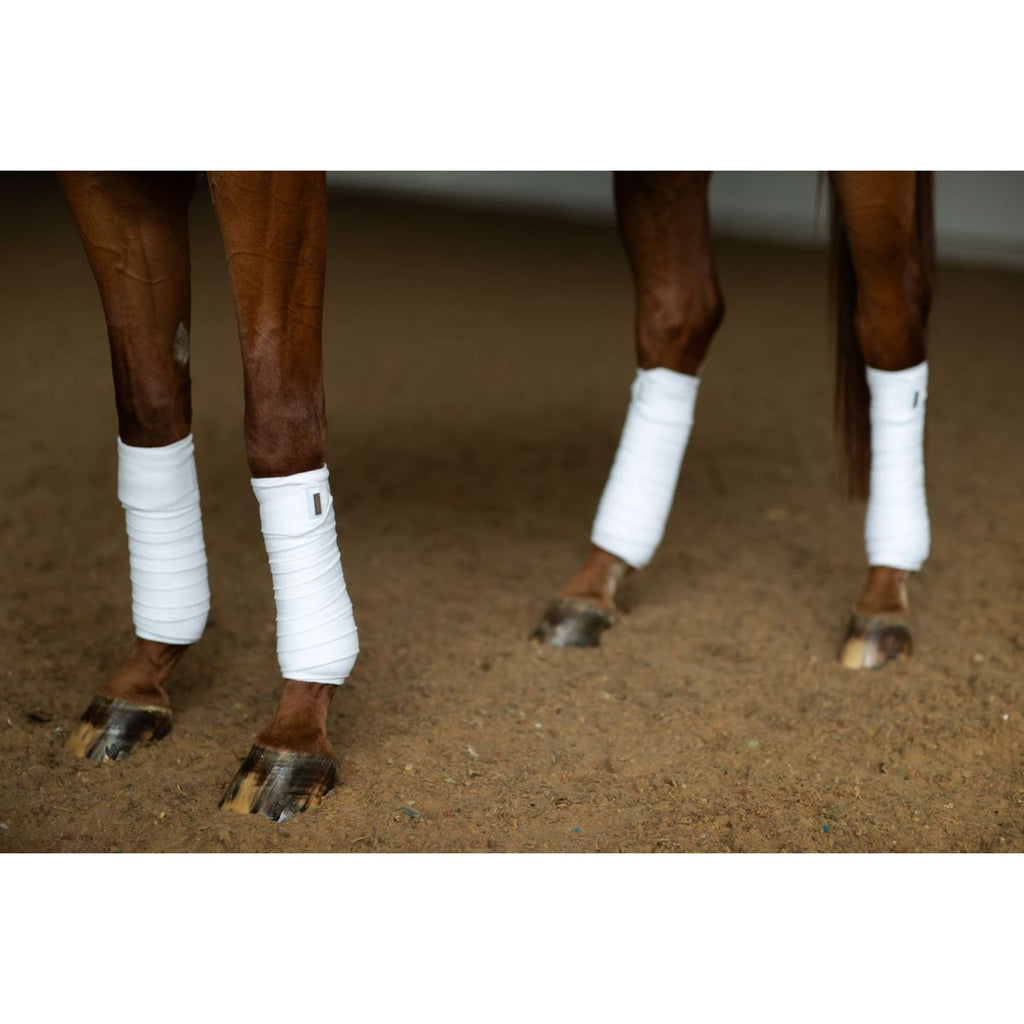 Equestrian Stockholm Bende White Silver