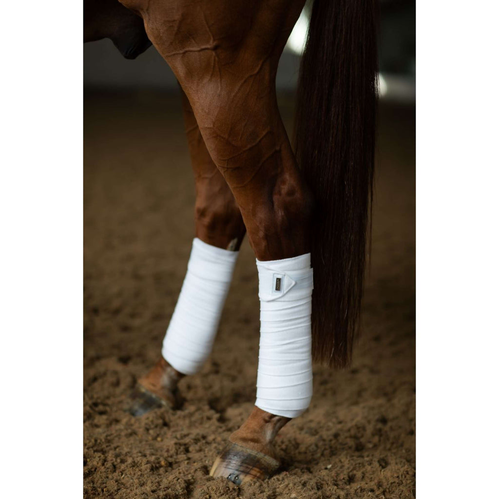 Equestrian Stockholm Bende White Silver