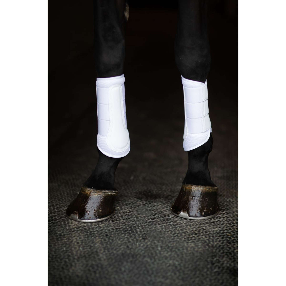 Equestrian Stockholm Parastinchi Classic Mesh White Silver