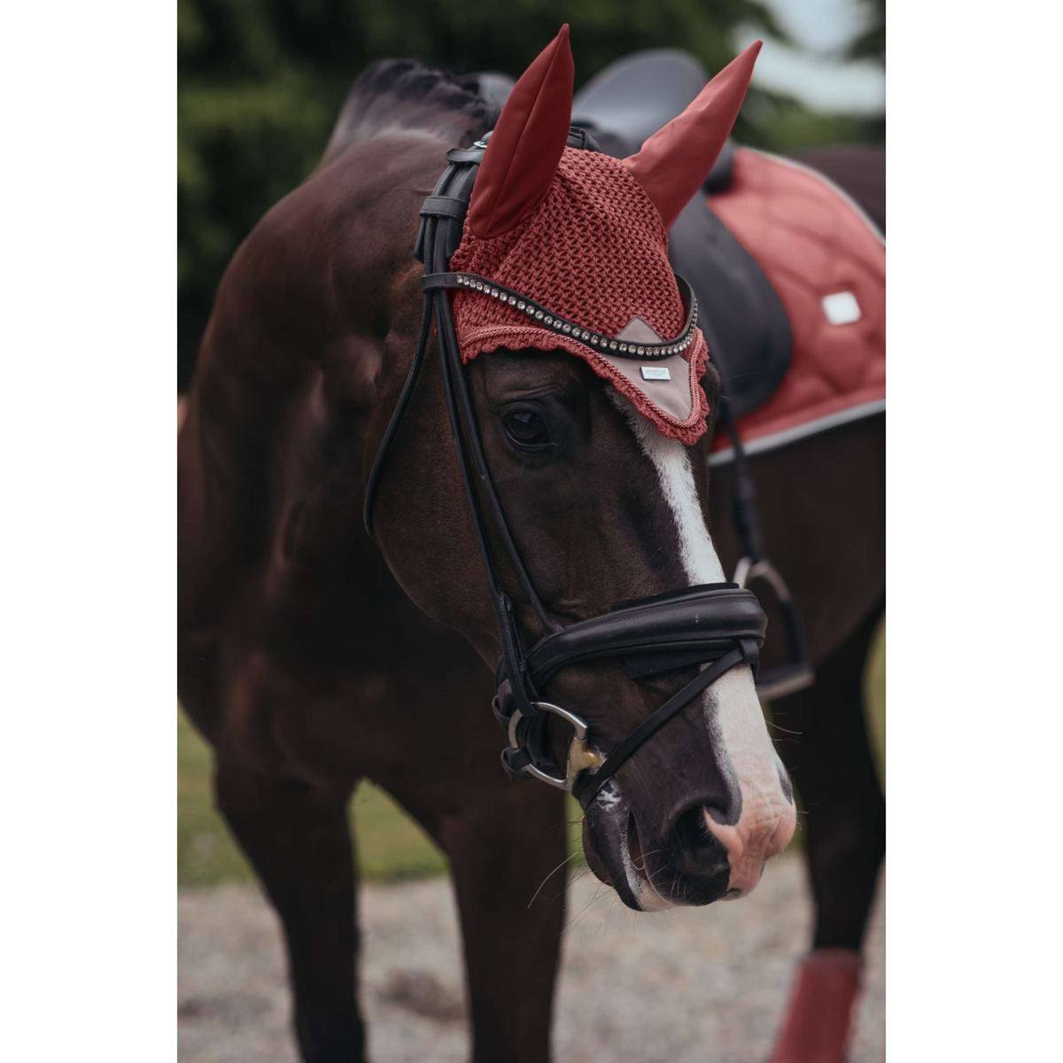 Equestrian Stockholm Cuffietta Amber Rose
